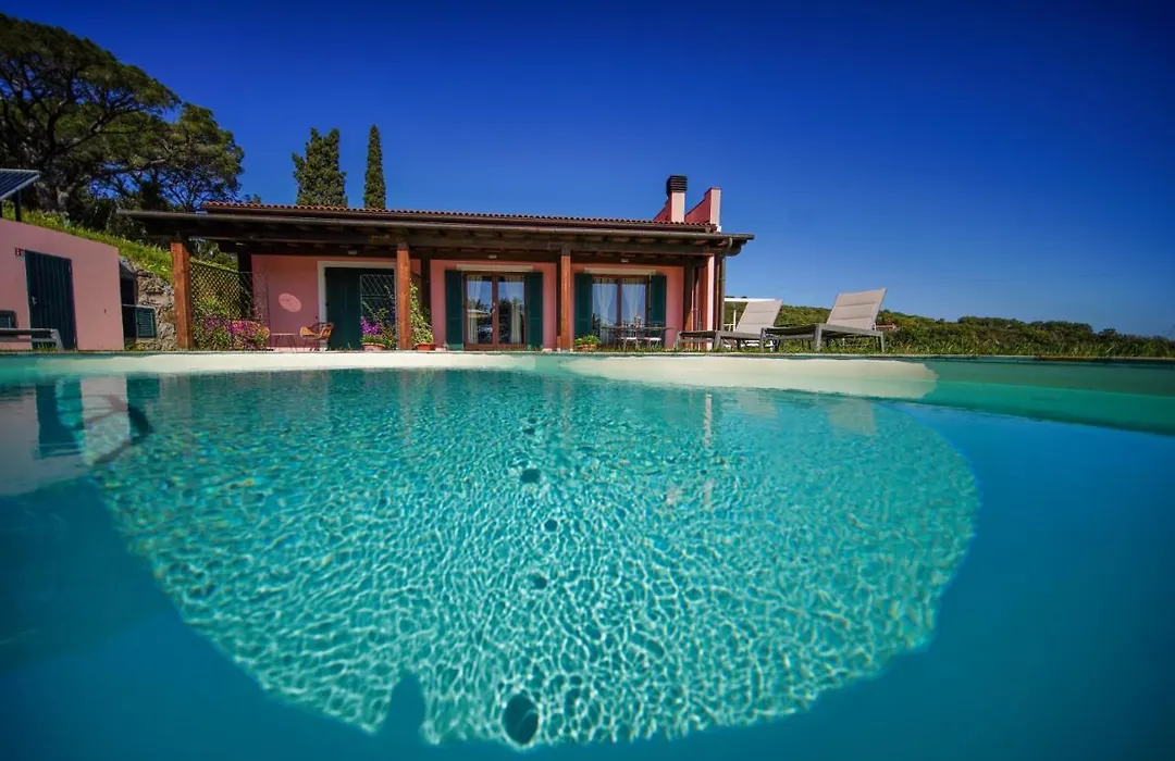 Fonte Murata B&B-1